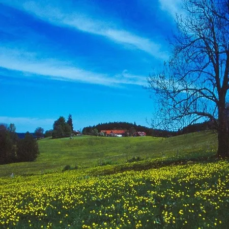 Apartment Ferienhaus Kuisle