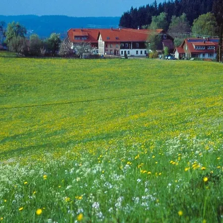 Apartment Ferienhaus Kuisle *