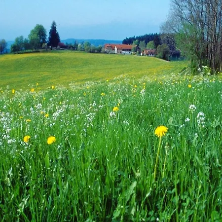 Ferienhaus Kuisle Gestratz